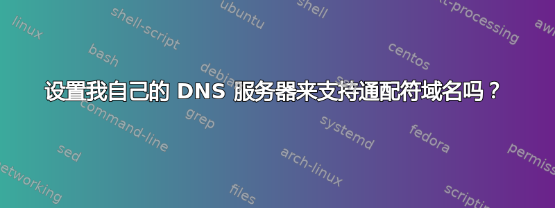 设置我自己的 DNS 服务器来支持通配符域名吗？