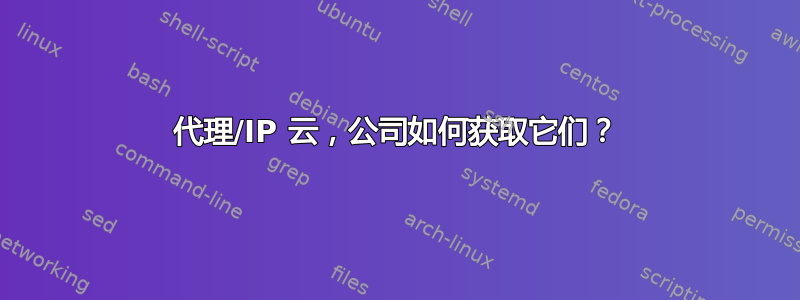 代理/IP 云，公司如何获取它们？