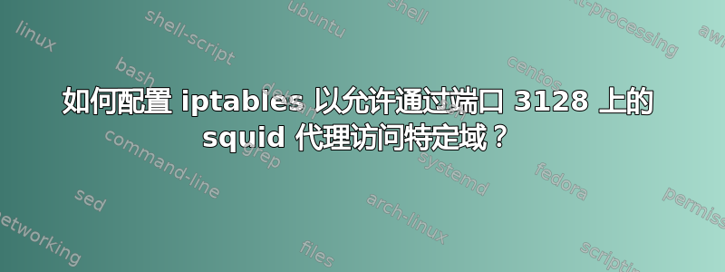 如何配置 iptables 以允许通过端口 3128 上的 squid 代理访问特定域？