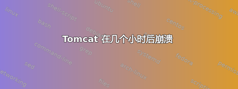 Tomcat 在几个小时后崩溃