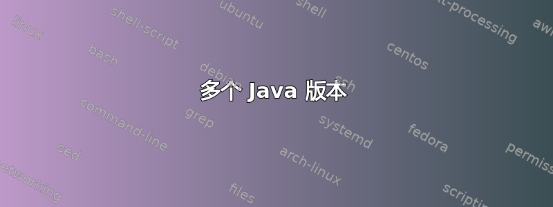 多个 Java 版本