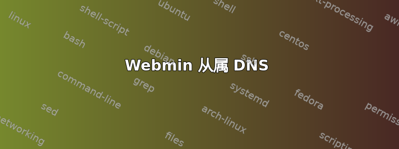 Webmin 从属 DNS