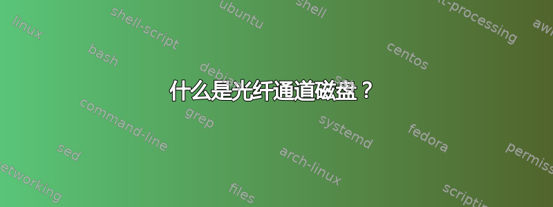 什么是光纤通道磁盘？