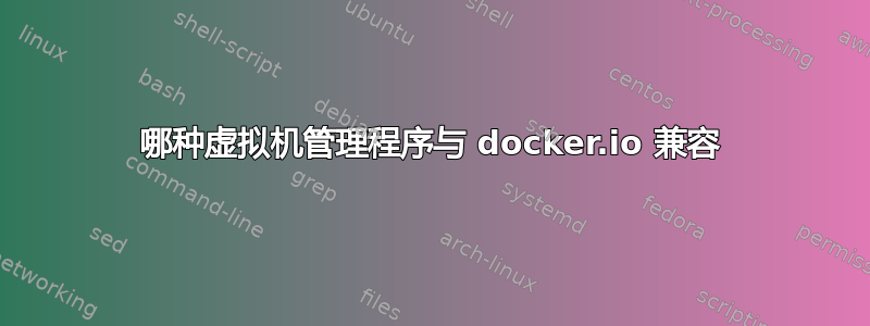 哪种虚拟机管理程序与 docker.io 兼容