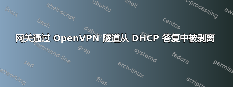 网关通过 OpenVPN 隧道从 DHCP 答复中被剥离