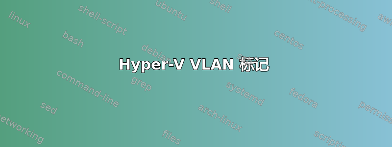 Hyper-V VLAN 标记