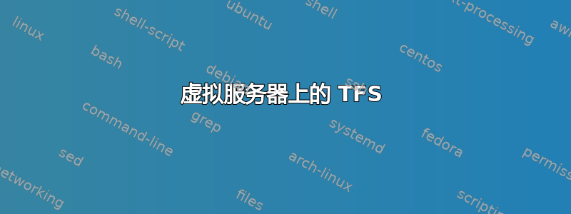 虚拟服务器上的 TFS