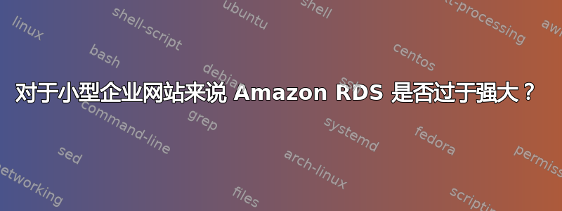 对于小型企业网站来说 Amazon RDS 是否过于强大？