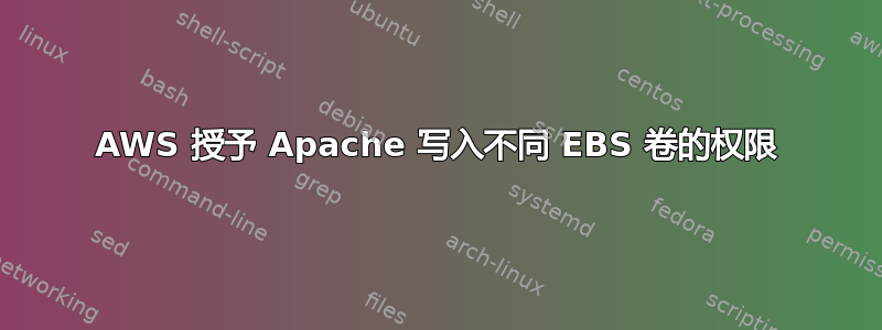 AWS 授予 Apache 写入不同 EBS 卷的权限