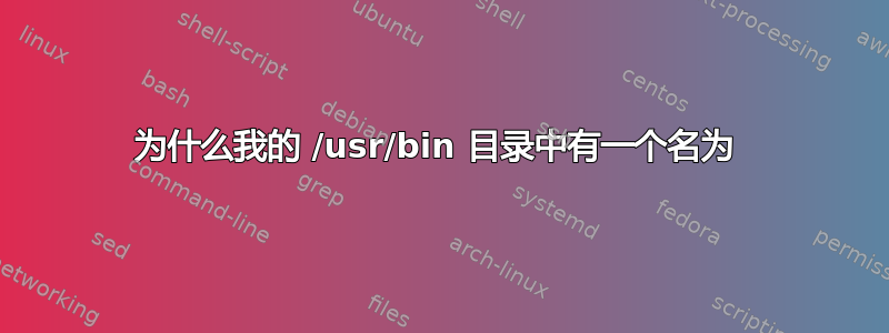 为什么我的 /usr/bin 目录中有一个名为 