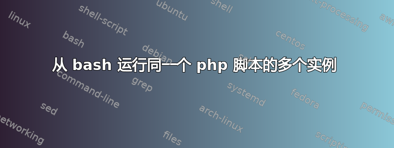 从 bash 运行同一个 php 脚本的多个实例