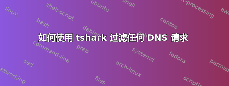 如何使用 tshark 过滤任何 DNS 请求