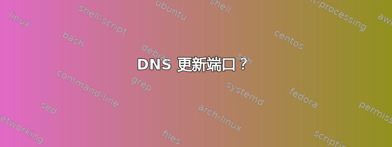 DNS 更新端口？