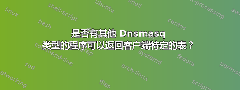 是否有其他 Dnsmasq 类型的程序可以返回客户端特定的表？