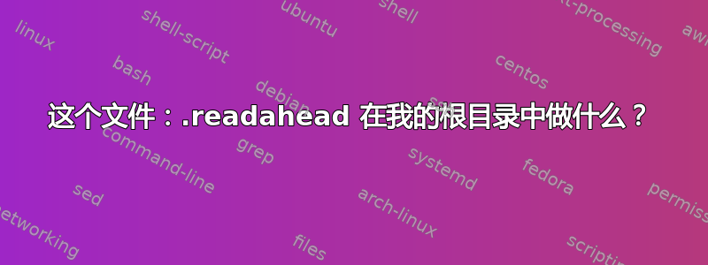 这个文件：.readahead 在我的根目录中做什么？