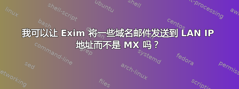 我可以让 Exim 将一些域名邮件发送到 LAN IP 地址而不是 MX 吗？