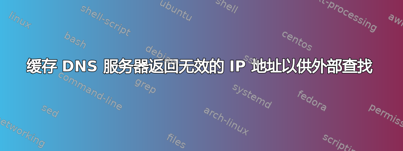 缓存 DNS 服务器返回无效的 IP 地址以供外部查找