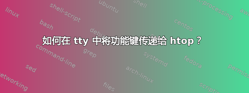 如何在 tty 中将功能键传递给 htop？