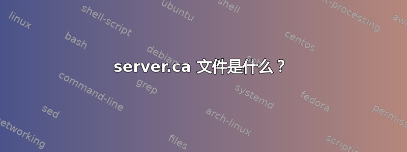 server.ca 文件是什么？