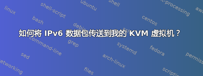 如何将 IPv6 数据包传送到我的 KVM 虚拟机？