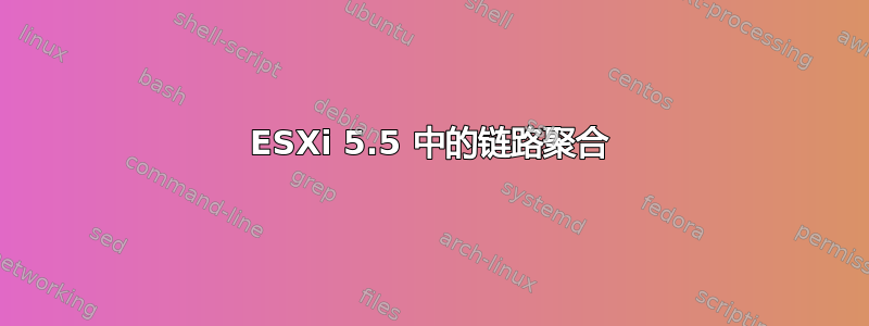 ESXi 5.5 中的链路聚合