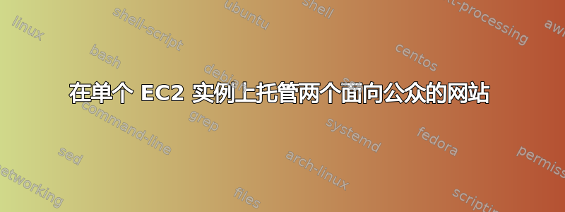 在单个 EC2 实例上托管两个面向公众的网站