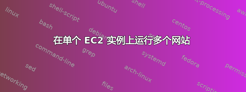 在单个 EC2 实例上运行多个网站