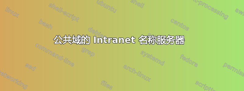 公共域的 Intranet 名称服务器 