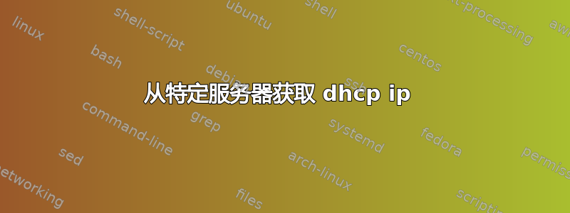 从特定服务器获取 dhcp ip 