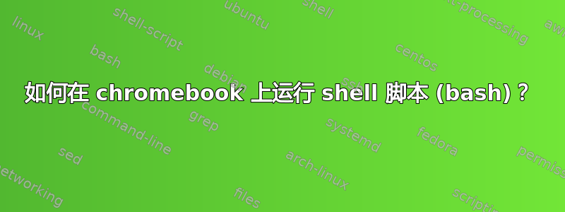 如何在 chromebook 上运行 shell 脚本 (bash)？