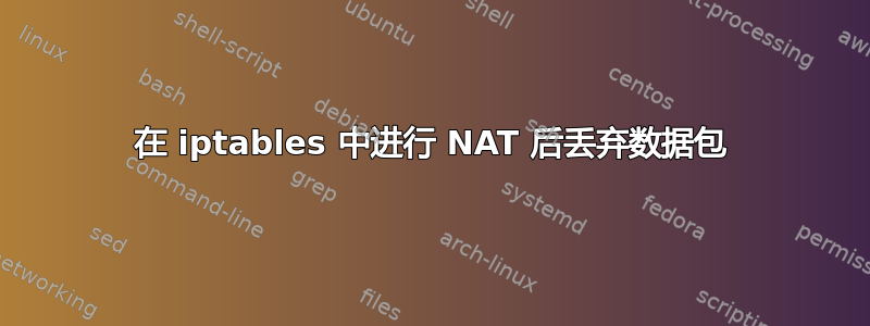 在 iptables 中进行 NAT 后丢弃数据包