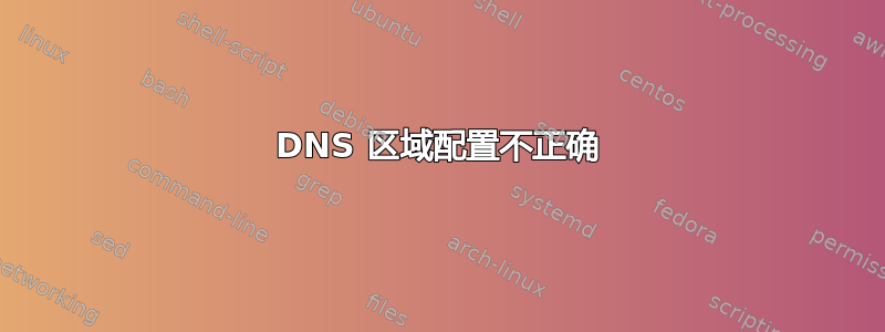 DNS 区域配置不正确