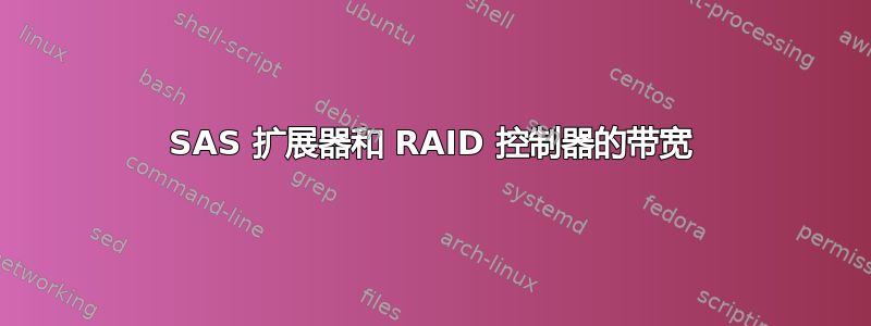 SAS 扩展器和 RAID 控制器的带宽