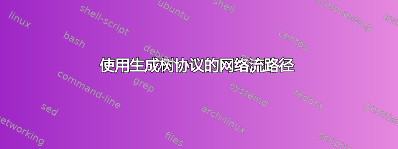 使用生成树协议的网络流路径