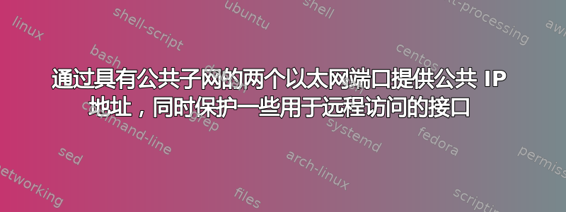 通过具有公共子网的两个以太网端口提供公共 IP 地址，同时保护一些用于远程访问的接口