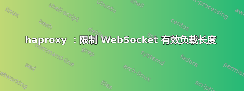 haproxy ：限制 WebSocket 有效负载长度