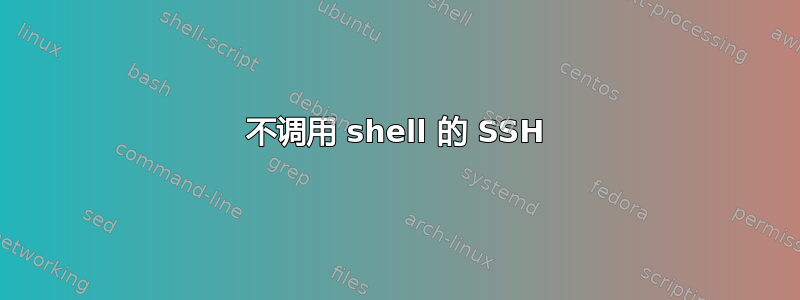 不调用 shell 的 SSH