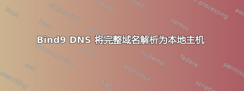 Bind9 DNS 将完整域名解析为本地主机