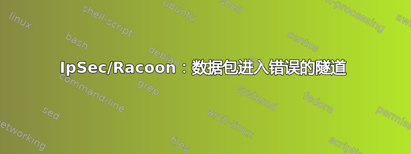 IpSec/Racoon：数据包进入错误的隧道