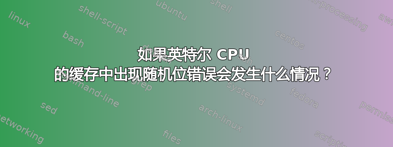 如果英特尔 CPU 的缓存中出现随机位错误会发生什么情况？