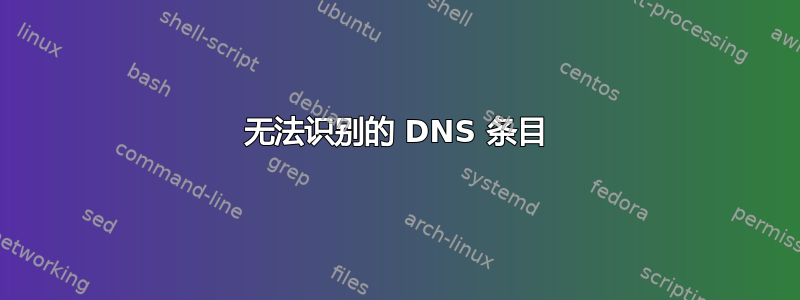 无法识别的 DNS 条目