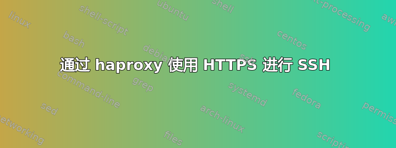 通过 haproxy 使用 HTTPS 进行 SSH