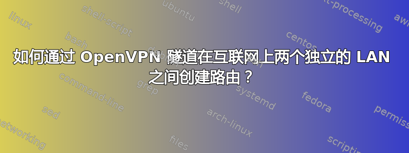 如何通过 OpenVPN 隧道在互联网上两个独立的 LAN 之间创建路由？