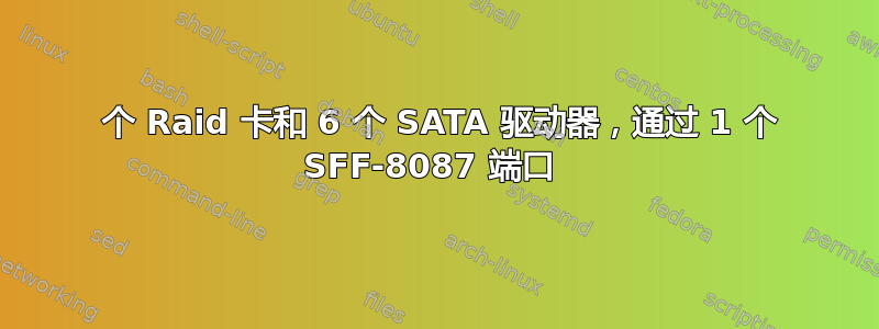 1 个 Raid 卡和 6 个 SATA 驱动器，通过 1 个 SFF-8087 端口 