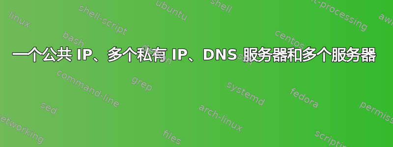 一个公共 IP、多个私有 IP、DNS 服务器和多个服务器 