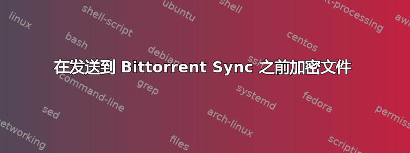 在发送到 Bittorrent Sync 之前加密文件