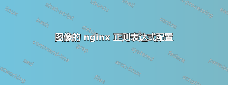 404 图像的 nginx 正则表达式配置