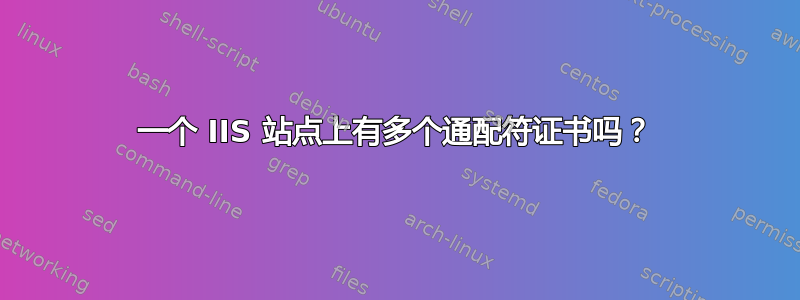 一个 IIS 站点上有多个通配符证书吗？