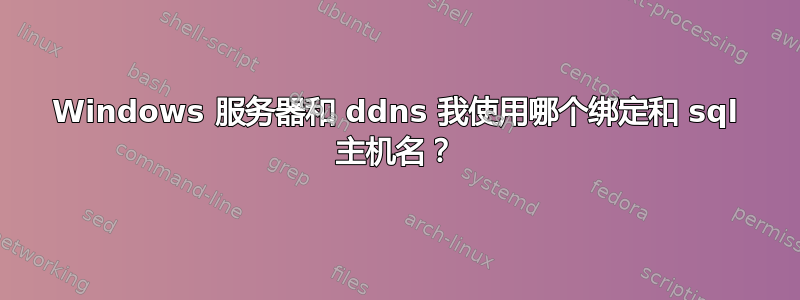 Windows 服务器和 ddns 我使用哪个绑定和 sql 主机名？