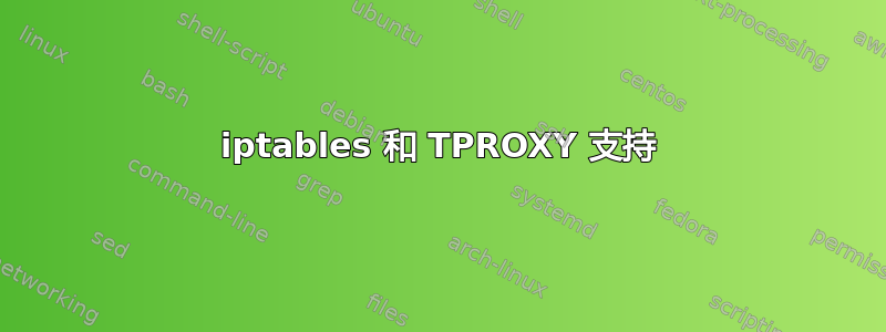 iptables 和 TPROXY 支持